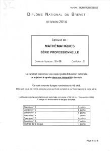 Sujet_brevet_mathematiques_professionnel_France_2014