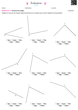 Angles et usage du rapporteur