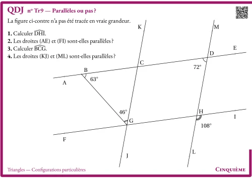 Question Du Jour --- Triangles --- Configurations particulières --- Parallèles ou pas ?